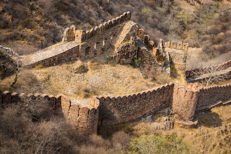 Amer fort in Jaipur at springの写真素材