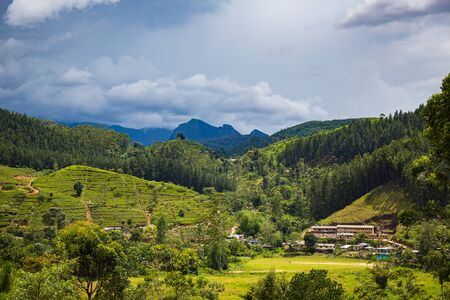 Rural view on Sri Lanka at springの写真素材