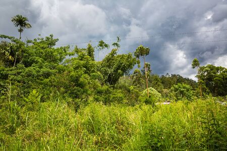 Rural view on Sri Lanka at springの写真素材