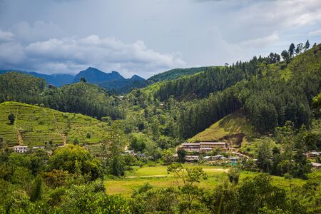 Rural view on Sri Lanka at springの写真素材