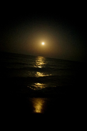 Lunar path of the sea の写真素材