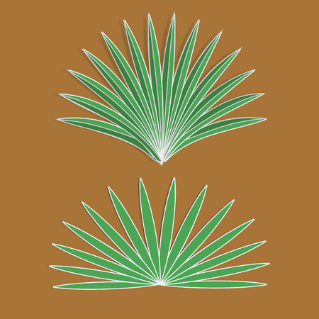 Vector  aloe sign eps 10 vector illustrationのイラスト素材