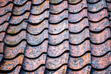 Old German-style house with a tiled roof. It stands on the shore of the lake. It is covered with ivy and wild grapes.の写真素材