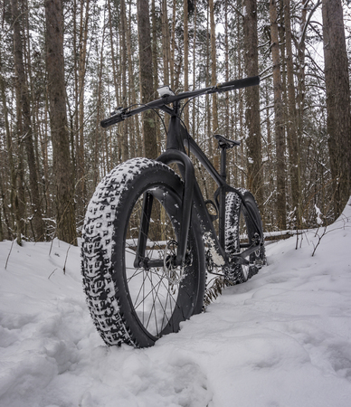 Fat bike in the snowy forestの写真素材