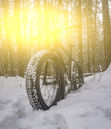 Fat bike in the snowy forestの写真素材