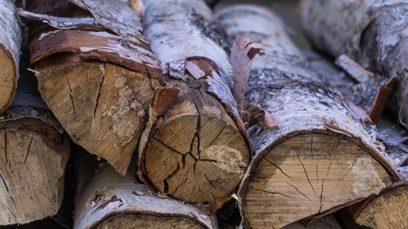 Chopped and stacked pile of birch wood. Texture, background. Selective focusの写真素材