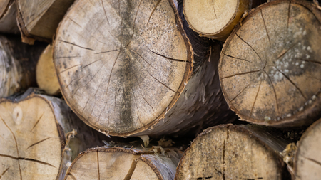 Chopped and stacked pile of birch wood. Texture, background. Selective focusの写真素材