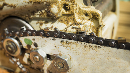 gasoline chain saw. repair of hand tools. woodworking. carpentry business. technical supportの写真素材