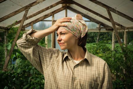 Photo of displeased tired woman gardener standing over tomato plants in greenhouse.の写真素材