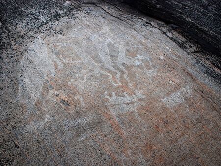 Petroglyph Primitive drawings on stones. Ancient art by prehistoric humans.の写真素材