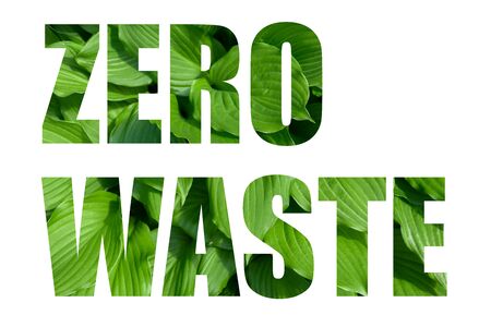 zero waste text with green leaves on white backgroundの写真素材