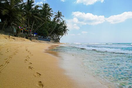 Beautiful hidden untouched tropical beach in Sri Lanka, blue sky, palms, ocaen and silenceの写真素材