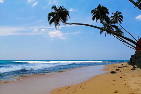 Beautiful hidden untouched tropical beach in Sri Lanka, blue sky, palms, ocaen and silence.の写真素材