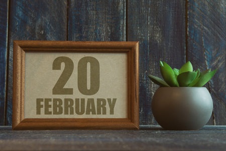 february 20th. Day 20 of month, date in frame next to succulent on wooden background winter month, day of the year conceptの写真素材