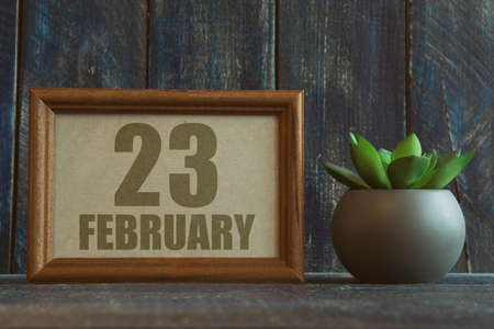 february 23rd. Day 23 of month, date in frame next to succulent on wooden background winter month, day of the year conceptの写真素材
