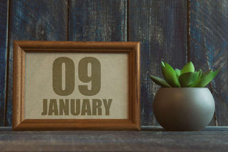 january 9th. Day 9 of month, date in frame next to succulent on wooden background winter month, day of the year conceptの写真素材