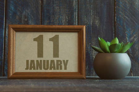 january 11th. Day 11 of month, date in frame next to succulent on wooden background winter month, day of the year conceptの写真素材
