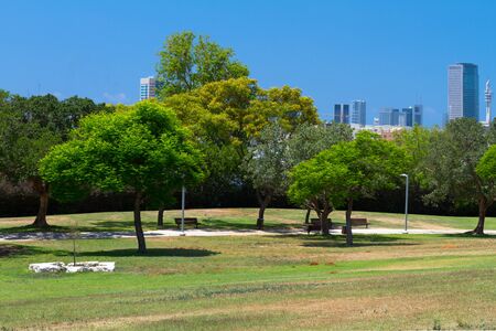 Beautiful park on the background of the skyscrapers of cityの写真素材