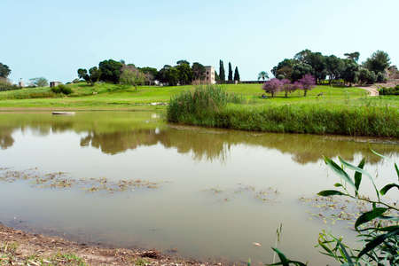 Small lake in the park of Israelの写真素材