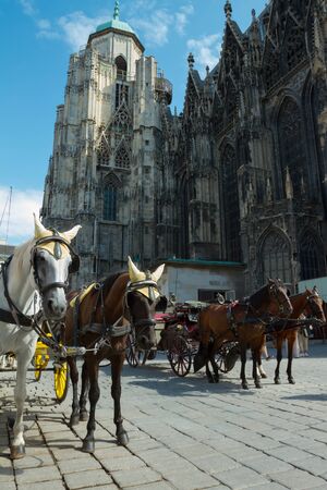 Horse-drawn Carriage in Vienna at the famous Stephansdom Cathedralの写真素材