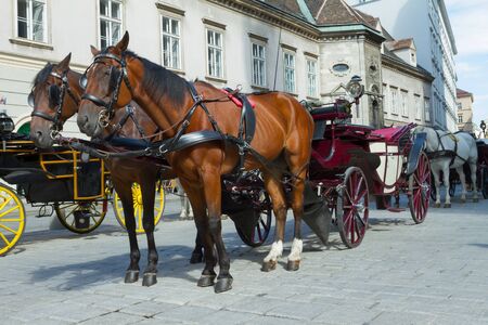 Horse-drawn Carriage in Vienna at the famous Stephansdom Cathedralのeditorial素材