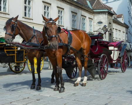 Horse-drawn Carriage in Vienna at the famous Stephansdom Cathedralのeditorial素材