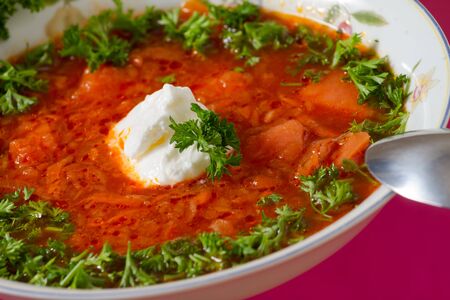  Borsch  Russian and Ukrainian red soup の写真素材