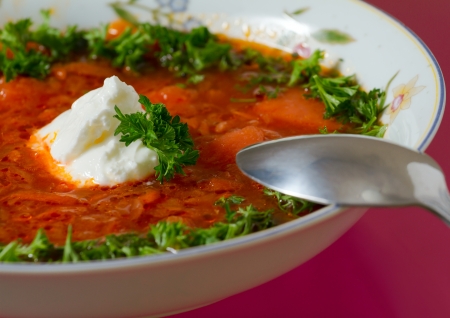  Borsch  Russian and Ukrainian red soup の写真素材