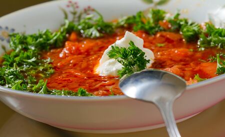  Borsch  Russian and Ukrainian red soup の写真素材