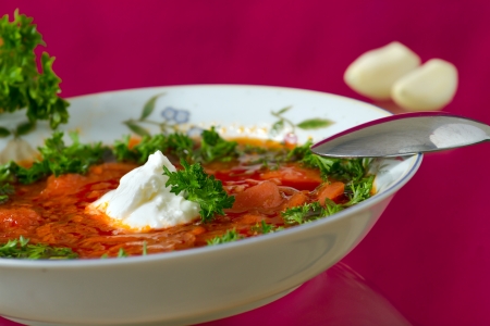 Borsch  Russian and Ukrainian red soup の写真素材