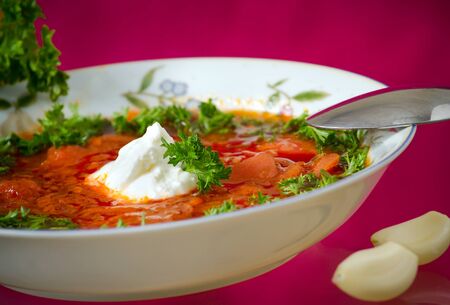 Borsch  Russian and Ukrainian red soup の写真素材