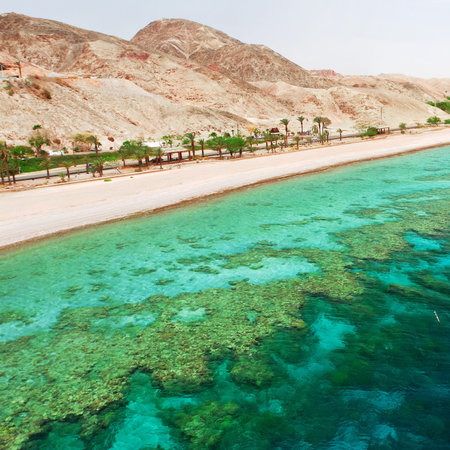 Panorama coastline of Red sea from coral reef 