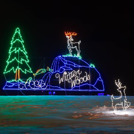 Christmas Lights in the parkのeditorial素材