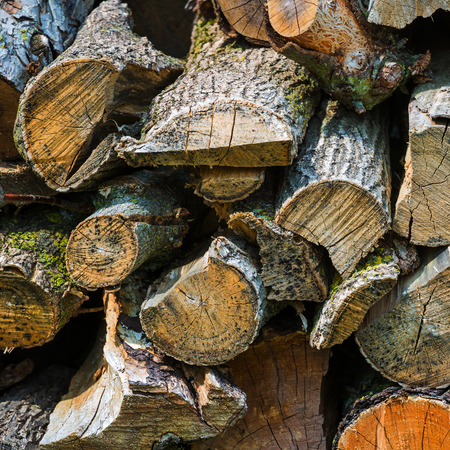 Pile of firewood stacked and with cutの写真素材