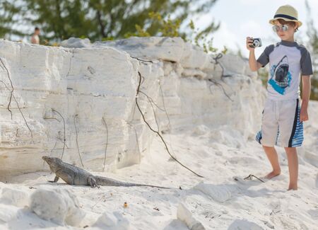 Little boy photographing iguanaの写真素材