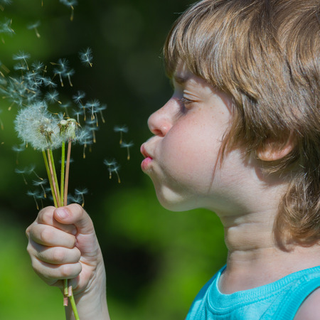 Boy blowing dandelionの写真素材