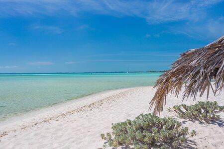 Exotic beach with white sand and umbrellas made of palm leafs  in Cayo Largo islandの写真素材