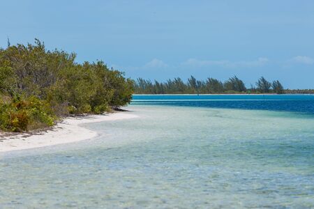 Tropical beach in Cayo Largo, Playa Sirena. Cubaの写真素材