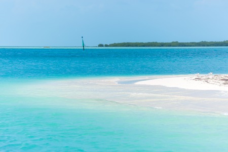 Tropical beach in Cayo Largo, Paraiso beach. Cubaの写真素材
