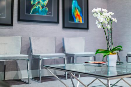 Reception Interior with White Orchid in potの写真素材