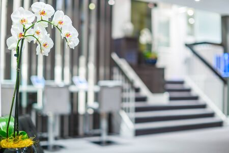 White orchid and office interior design with blurred backgroundの写真素材