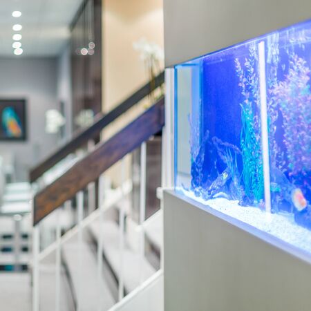 Office interior design with big blue aquariumの写真素材