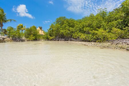 Flamingo beach at Aruba. Renaissance Aruba Private Islandの写真素材