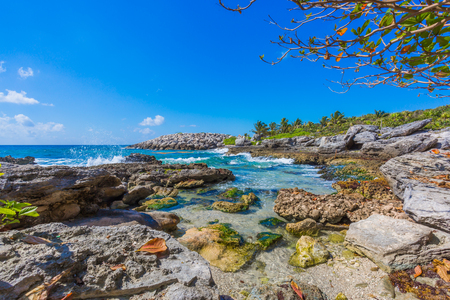Caribbean beach in Mexicoの写真素材