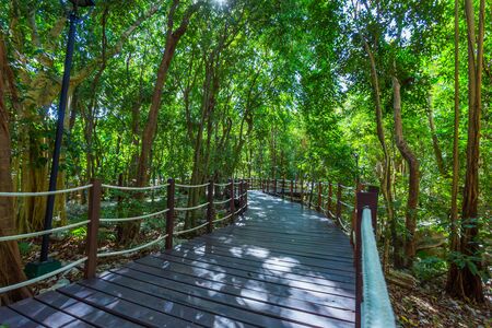Beautiful Xcaret Park. Cancun, Mexicoの写真素材