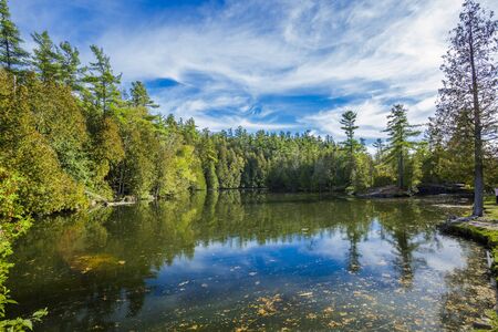 Rockwood conservation areaの写真素材