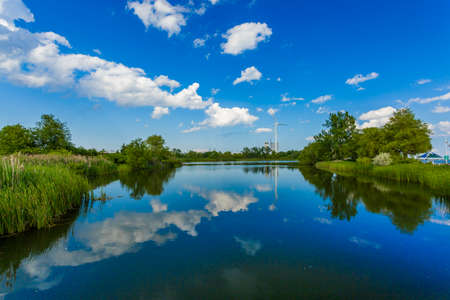 Summer landscape of park on the shore of a pondの写真素材