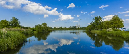 Summer landscape of park on the shore of a pondの写真素材