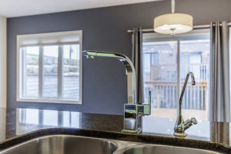 Modern Kitchen Interior Design. North America