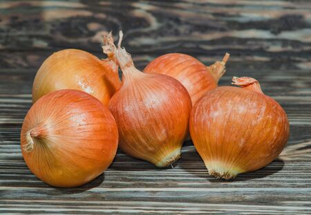 Golden onion closeup on wooden background, a thorough inspectionの写真素材